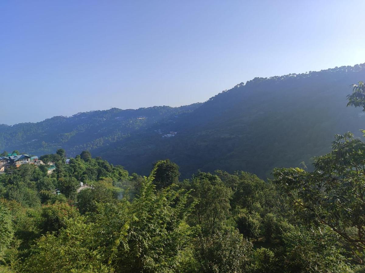 Idyllic Private Cottage W/King Bed + Mountain View Kasauli Exterior foto
