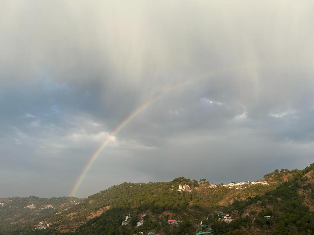 Idyllic Private Cottage W/King Bed + Mountain View Kasauli Exterior foto