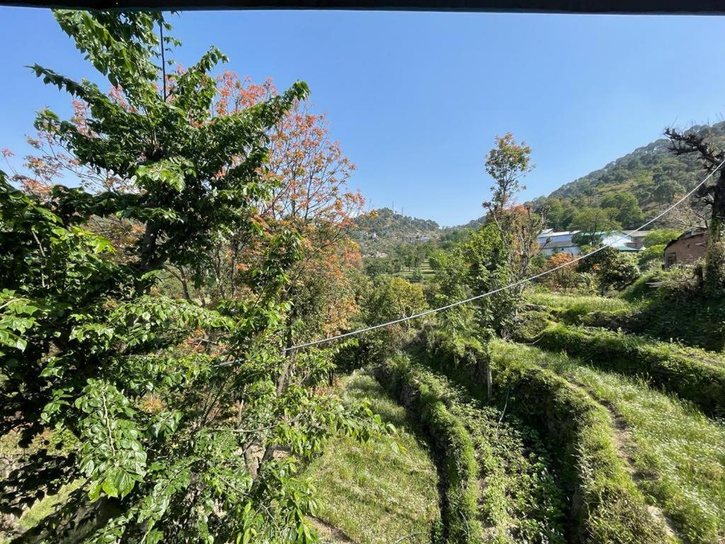 Idyllic Private Cottage W/King Bed + Mountain View Kasauli Exterior foto