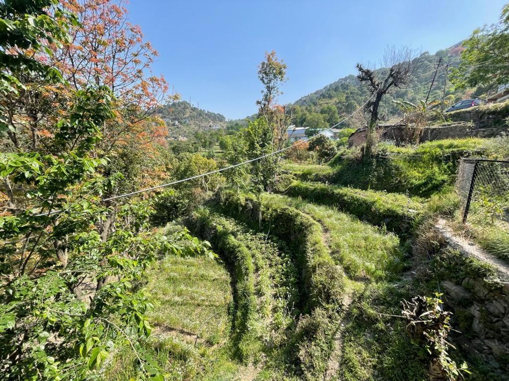Idyllic Private Cottage W/King Bed + Mountain View Kasauli Exterior foto
